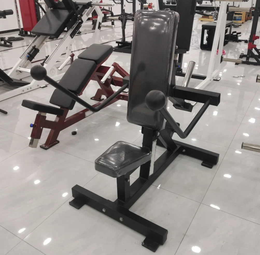 Gym Plate Loaded Strength Machine Arms Exercise Equipment Seated Dips Gym Station Triceps Kickback Dip