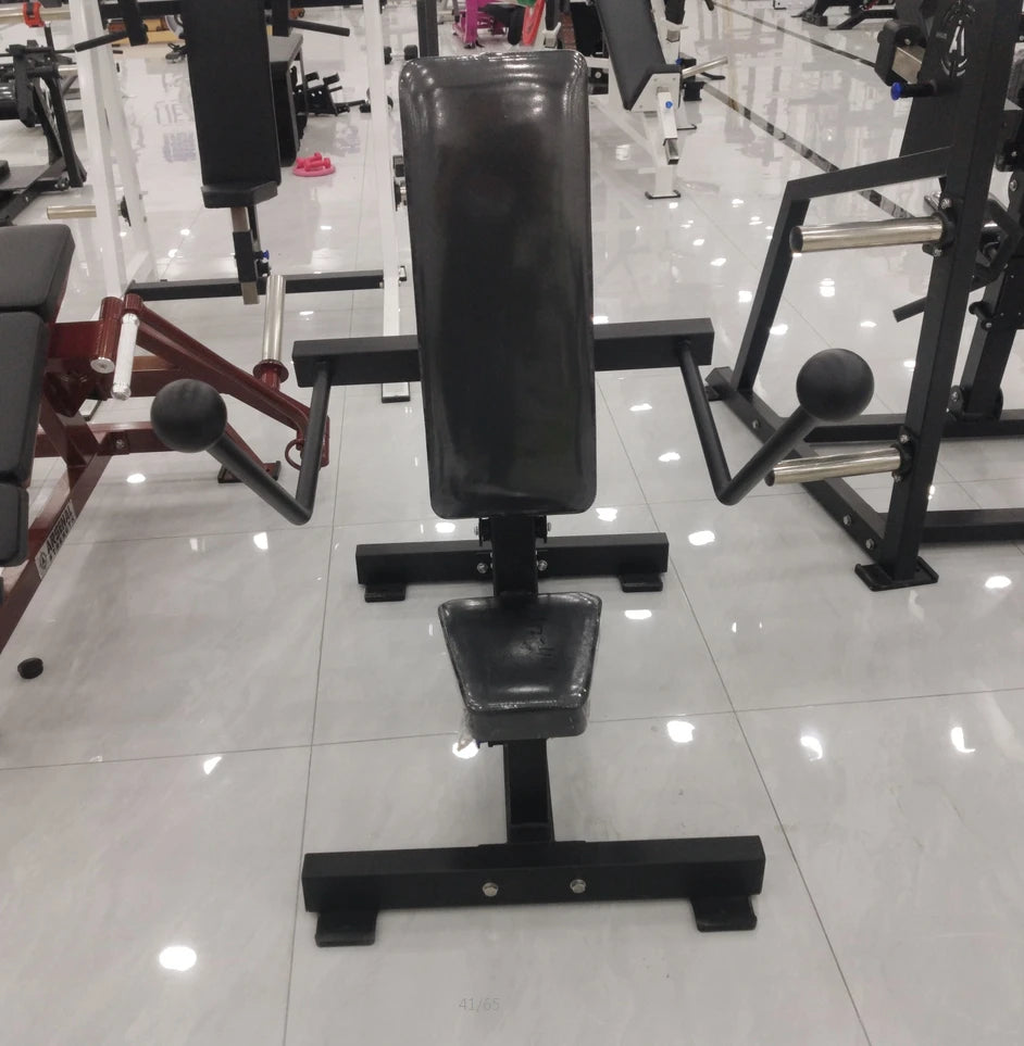 Gym Plate Loaded Strength Machine Arms Exercise Equipment Seated Dips Gym Station Triceps Kickback Dip