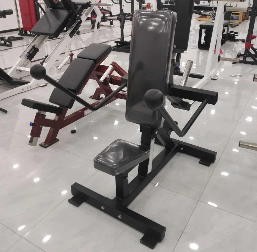 Gym Plate Loaded Strength Machine Arms Exercise Equipment Seated Dips Gym Station Triceps Kickback Dip