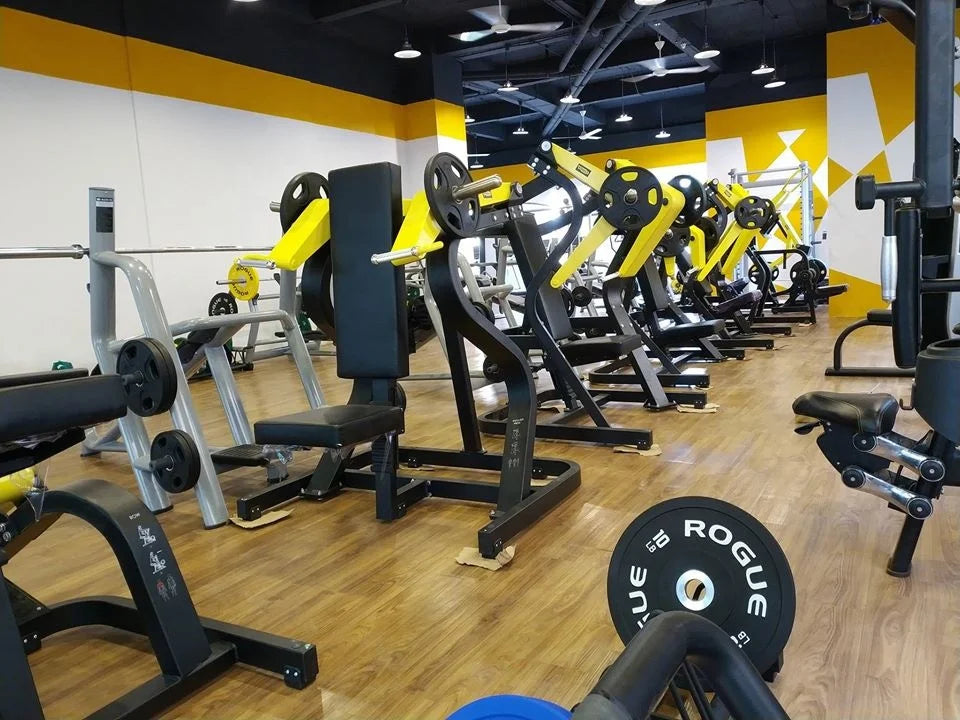 Gym Machines Strength Training Sports Gym Equipment Plate Loaded Back Exercise Low Row Machine