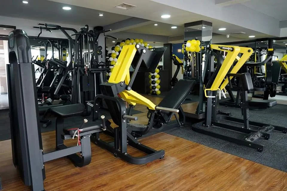 Gym Machines Strength Training Sports Gym Equipment Plate Loaded Back Exercise Low Row Machine